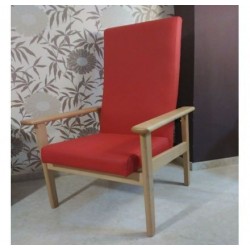 Sillón Butaca Geriátrica