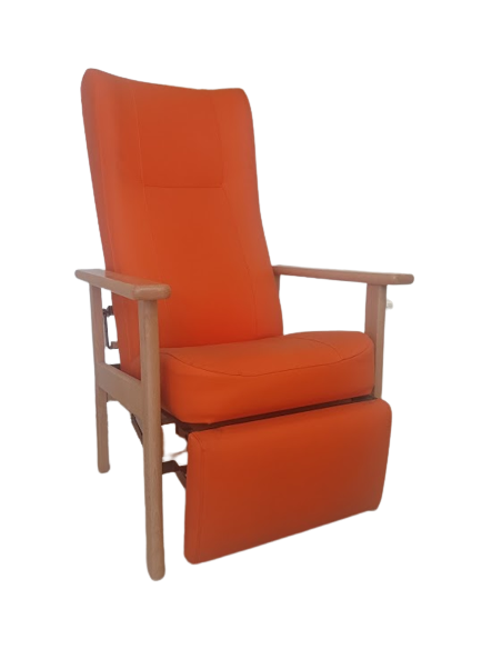 Sillón Anatómico Reclinable