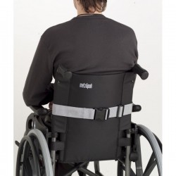 Cinturón Silla Tronco 2
