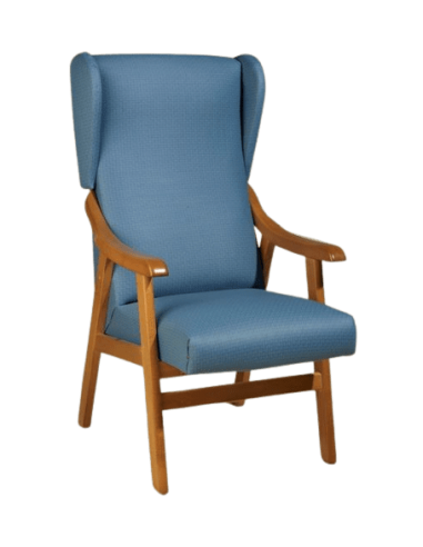 Sillon Geriatrico Orejero