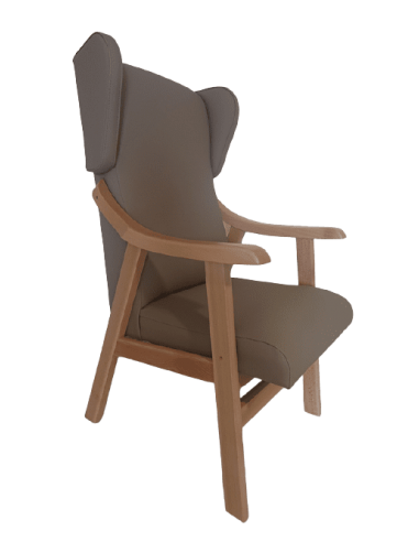 Sillon Geriatrico Orejero