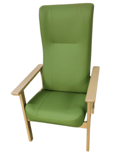 Sillon Geriatrico Ergonomico 2