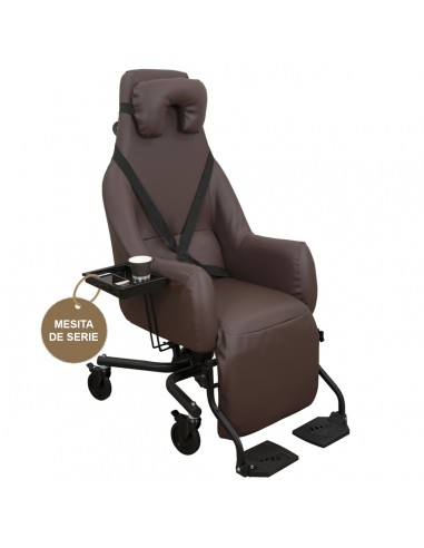 Sillon Confort Geriatrico