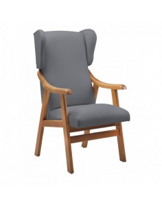 Sillón Geriátrico Orejero