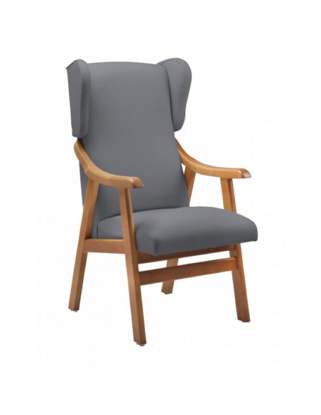 Sillon Geriatrico Orejero