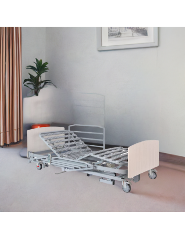 Cama 20 Baja Alzheimer