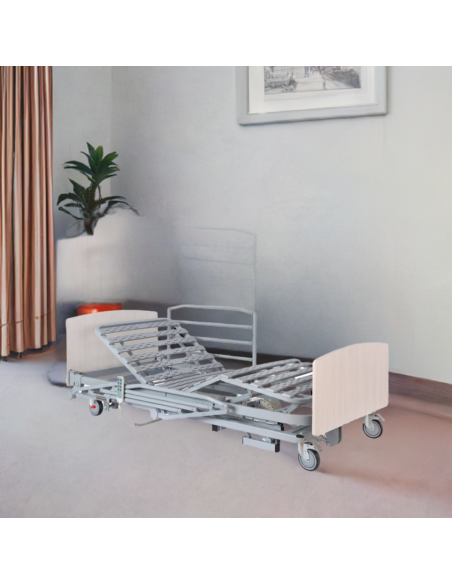 Cama 20 Baja Alzheimer