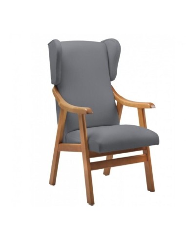 Sillón Geriatrico Orejero