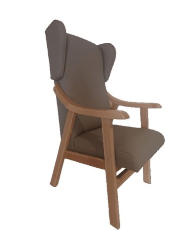 Sillón Geriatrico Orejero