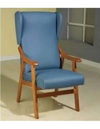Sillón Geriatrico Orejero