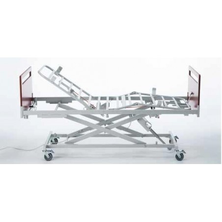 Cama Electrica Con Carro Elevador.