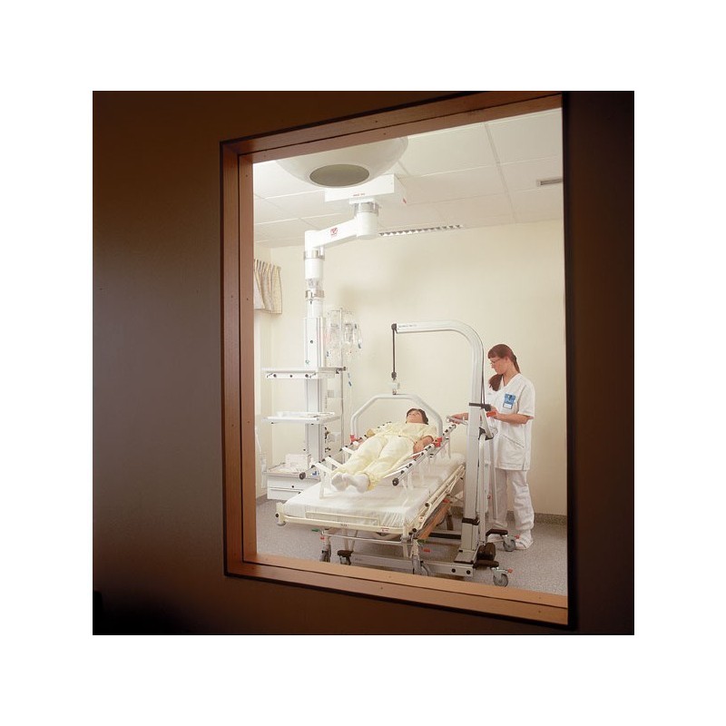 Grúa LIKO Golvo Profesional