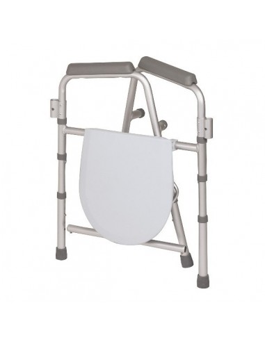 Silla WC 4 en 1.