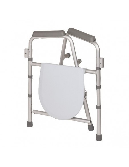 Silla WC 4 en 1.