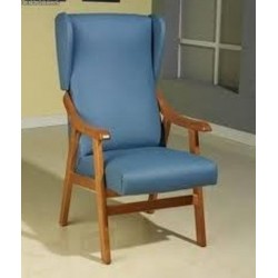 Sillón Geriátrico Orejero 2