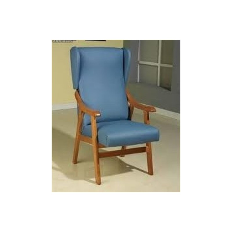 Sillon Geriatrico Orejero