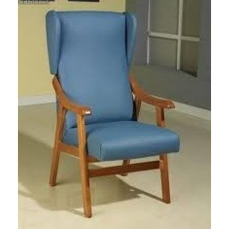 Sillon Geriatrico Orejero