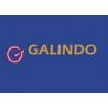 Talleres Galindo